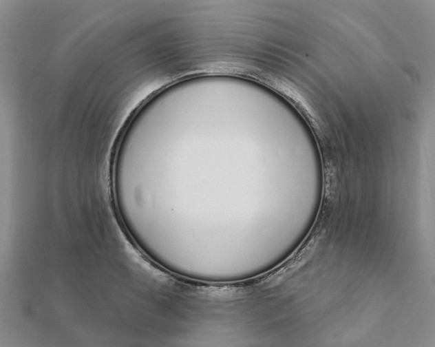 X0000111891087200908131649