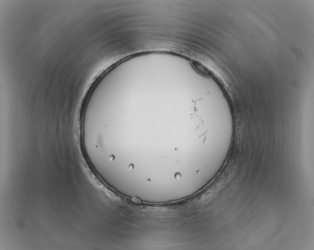 X0000111891088200908131649