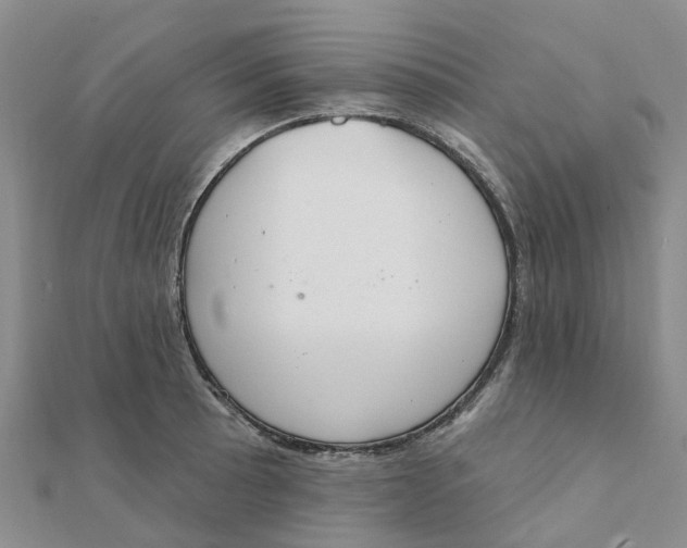 X0000111891089200908131649