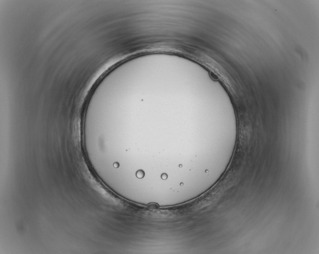 X0000111891092200908131649