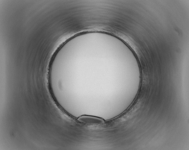 X0000111891093200908131649