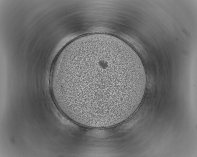 X0000111891094200908131649