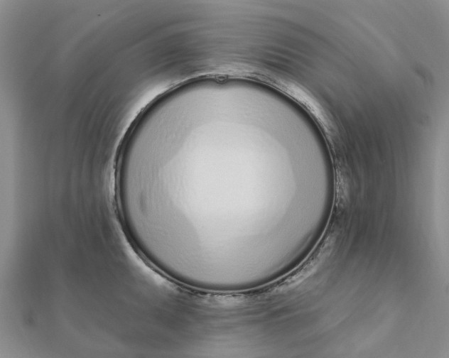 X0000111891095200908131649