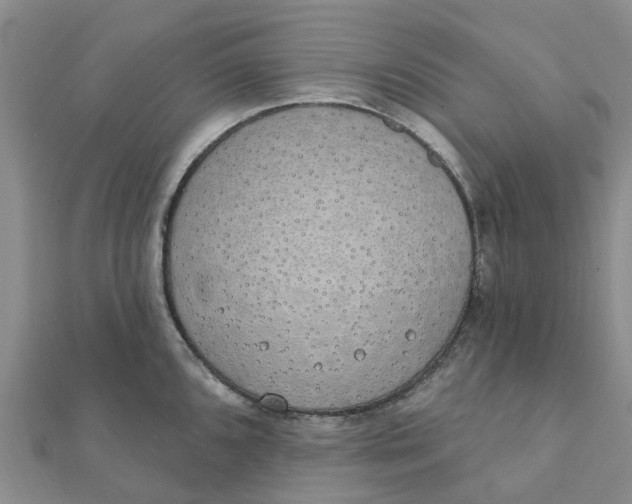 X0000111891096200908131649