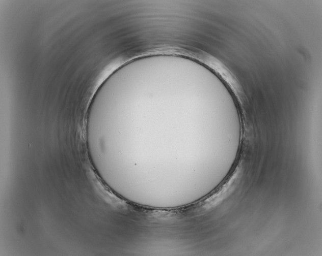 X0000111891097200908131649