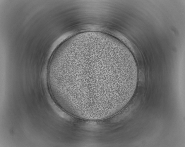 X0000111891098200908131649