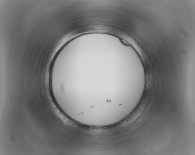 X0000111891099200908131649