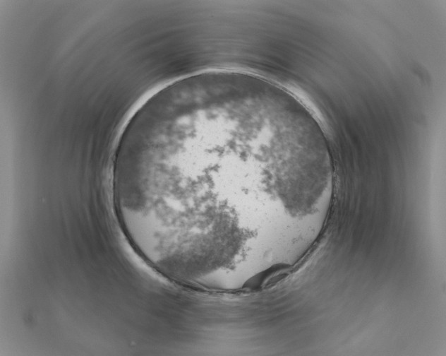 X0000111891100200908131649