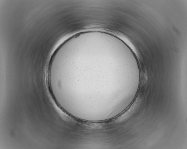 X0000111891101200908131649