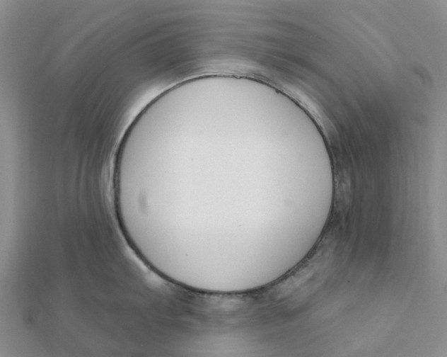 X0000111891103200908131649