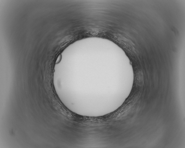 X0000111891105200908131648