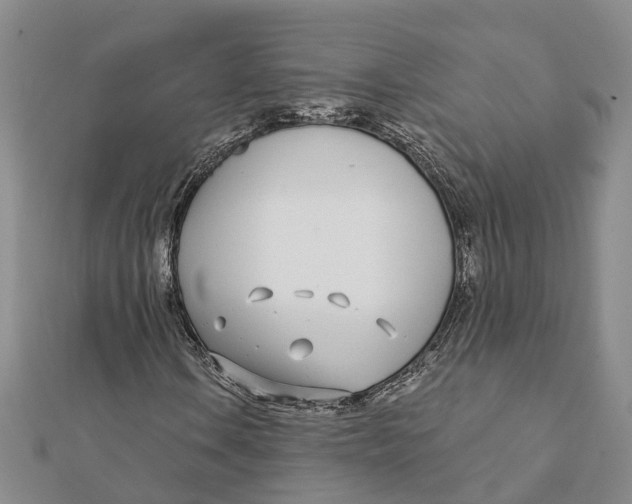 X0000111891106200908131648