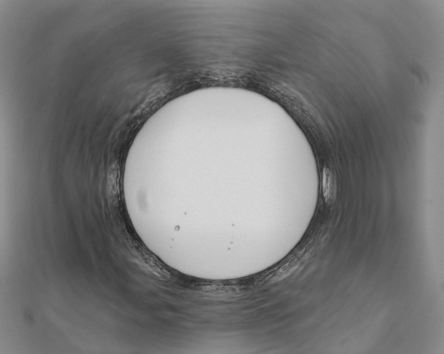 X0000111891107200908131648