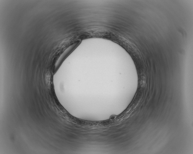 X0000111891108200908131648