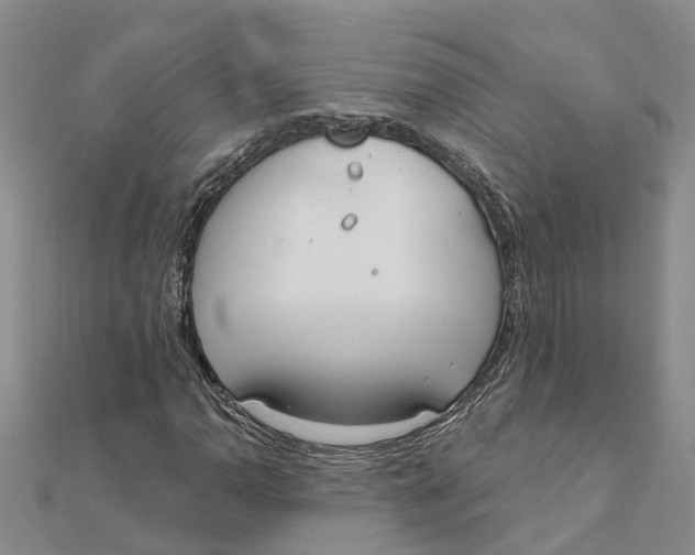 X0000111891110200908131648