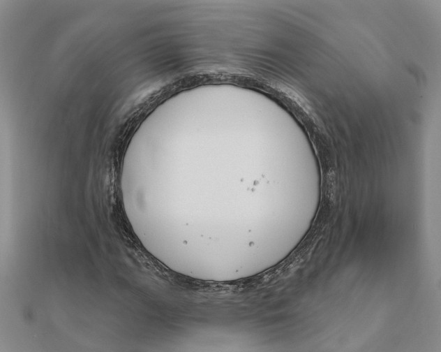 X0000111891111200908131648