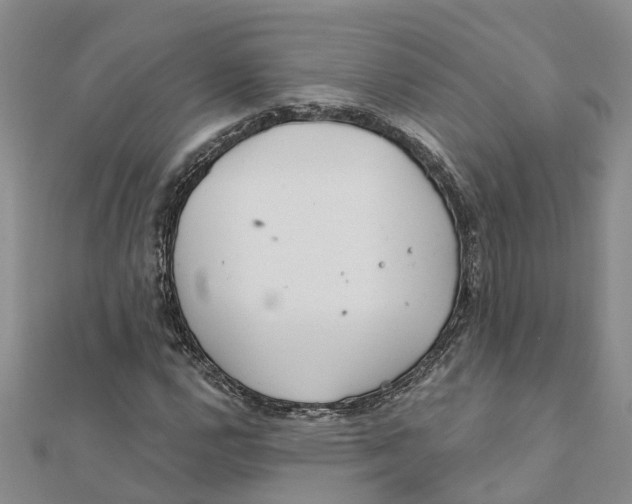 X0000111891112200908131648