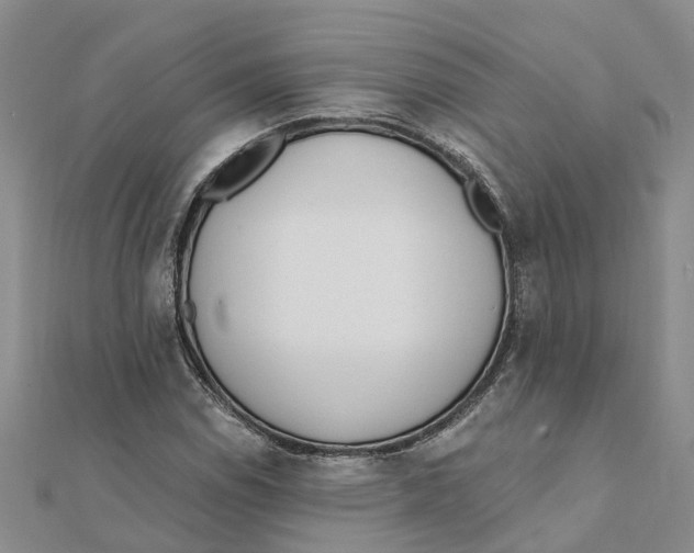 X0000111891114200908131648