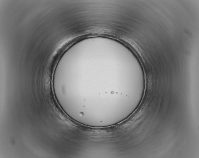 X0000111891115200908131648