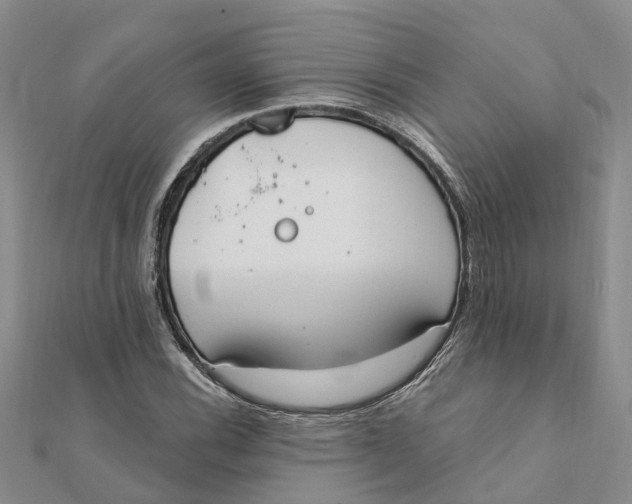 X0000111891116200908131648