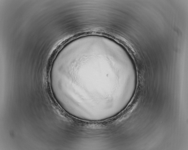 X0000111891117200908131648