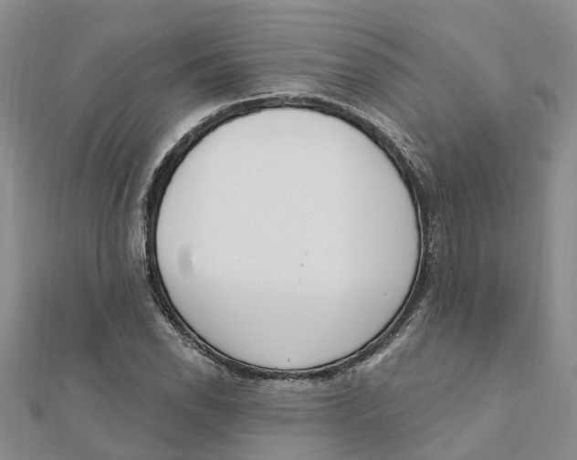 X0000111891118200908131649