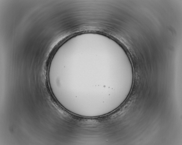 X0000111891119200908131649