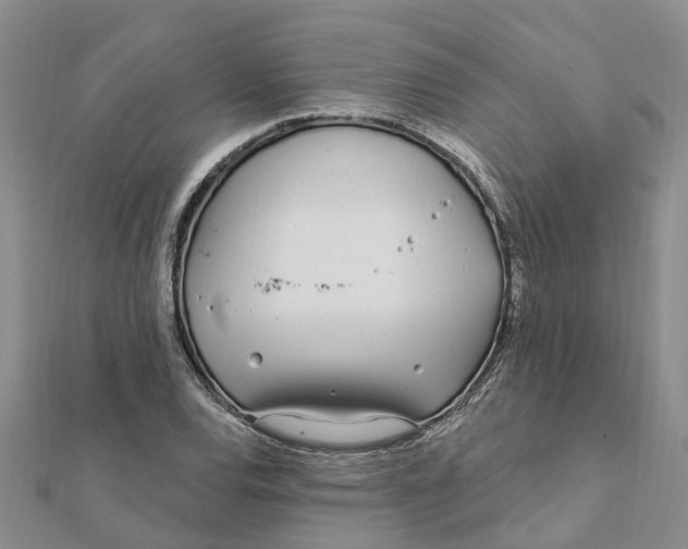 X0000111891120200908131649