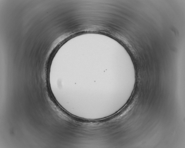 X0000111891122200908131649