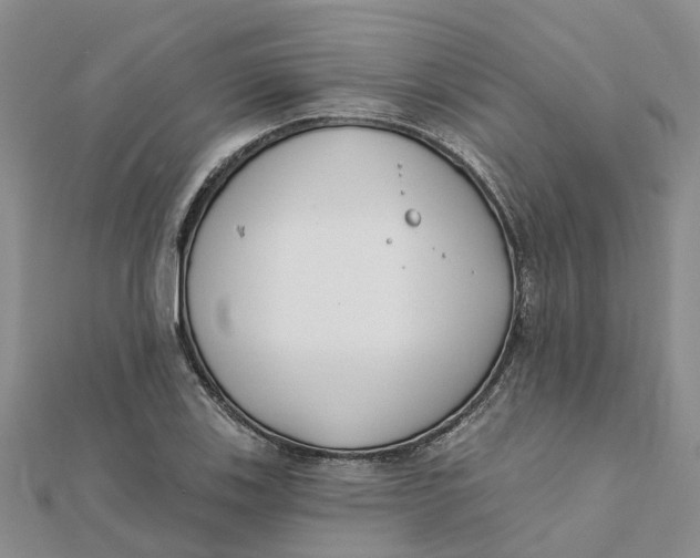 X0000111891123200908131649