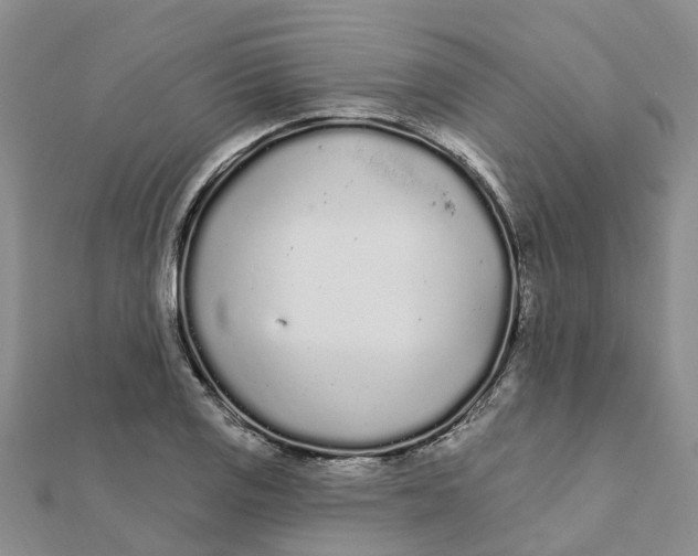 X0000111891125200908131649