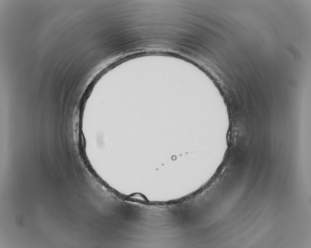 X0000111891126200908131649