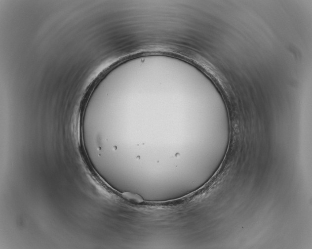 X0000111891127200908131649