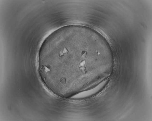 X0000111891128200908131649