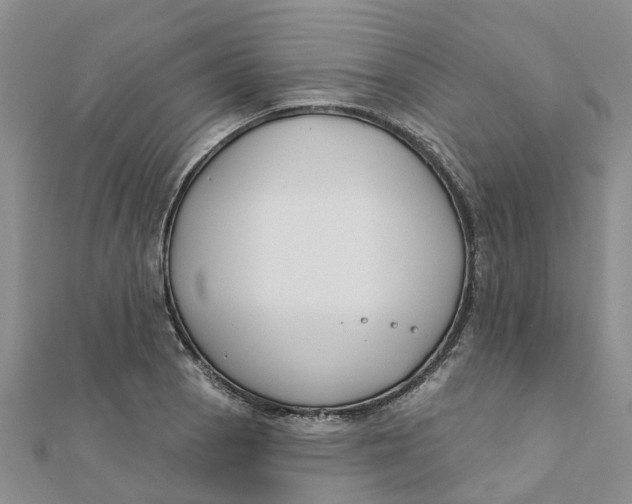 X0000111891129200908131649