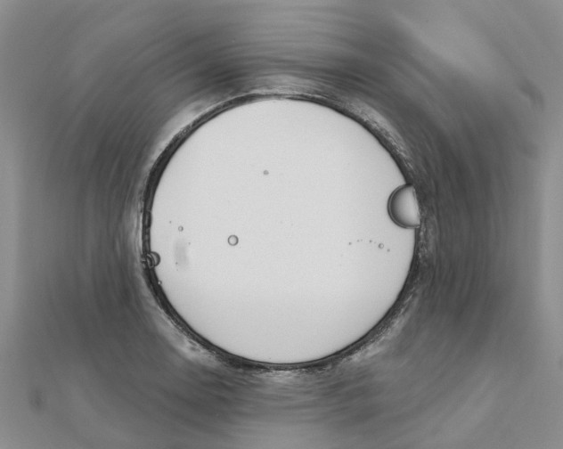 X0000111891130200908131649