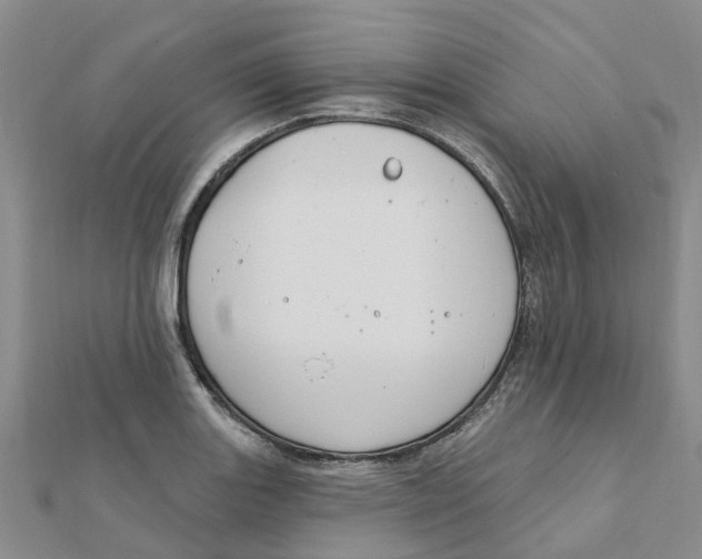 X0000111891131200908131649