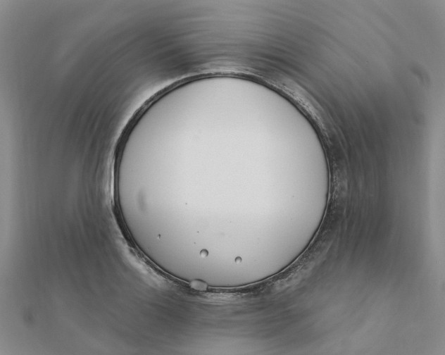 X0000111891132200908131649