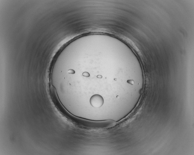 X0000111891133200908131649