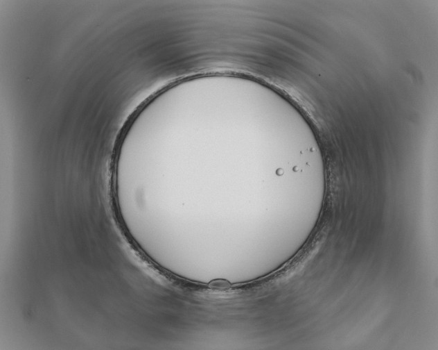 X0000111891134200908131649