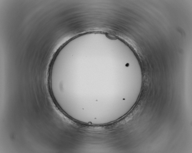 X0000111891135200908131649