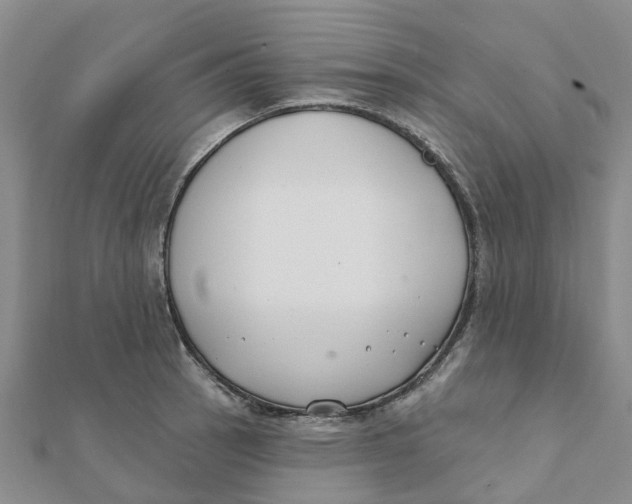 X0000111891137200908131649