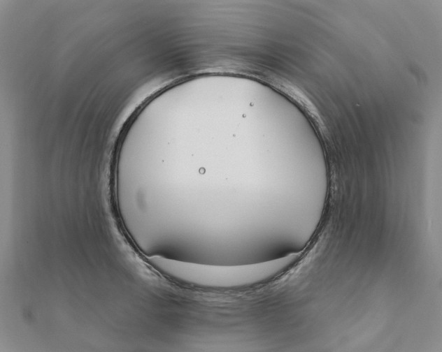 X0000111891138200908131649