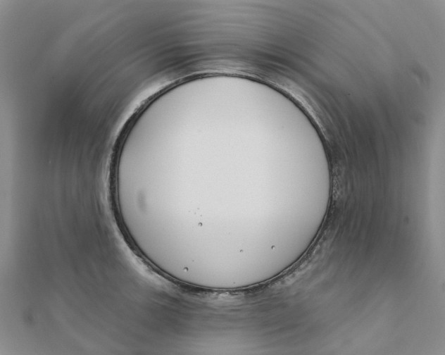 X0000111891139200908131649