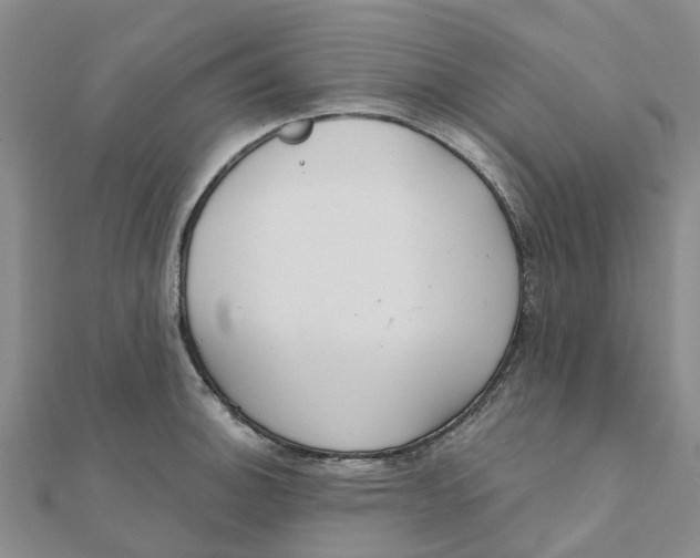 X0000111891140200908131649