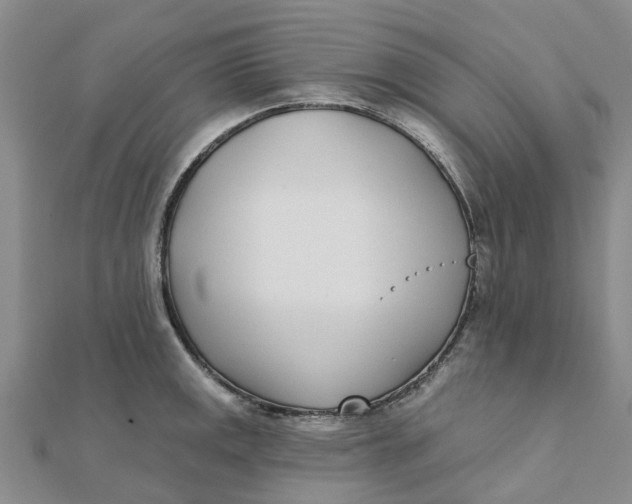 X0000111891141200908131649