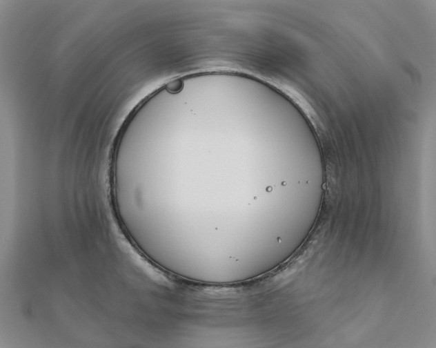 X0000111891142200908131649