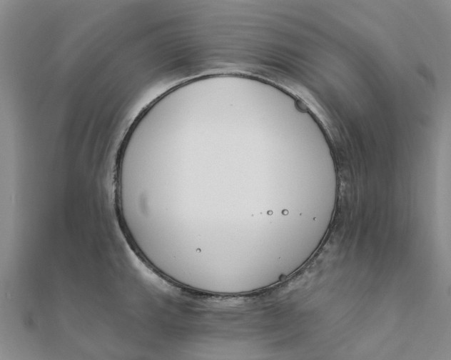 X0000111891143200908131649