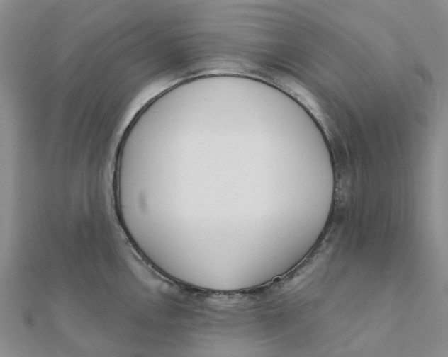 X0000111891146200908131649