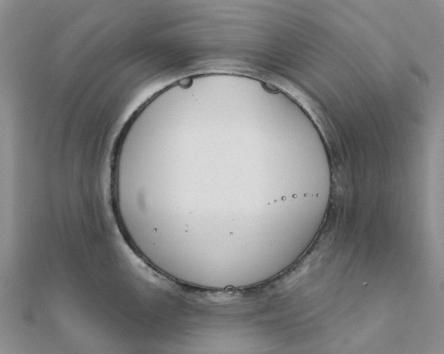 X0000111891147200908131649